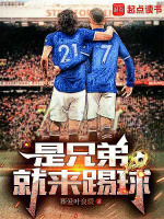 小说《/data/image/10388.jpg》封面