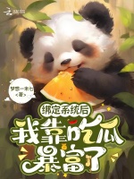 小说《/data/image/11922.jpg》封面