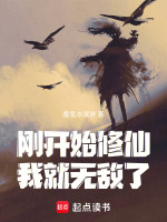 小说《/data/image/12203.jpg》封面