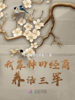 小说《/data/image/13341.jpg》封面