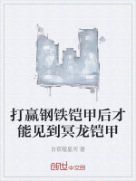 小说《/data/image/13501.jpg》封面
