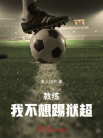 小说《/data/image/13932.jpg》封面