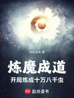 小说《/data/image/16282.jpg》封面