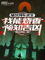 小说《/data/image/16669.jpg》封面