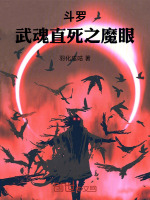 小说《/data/image/16955.jpg》封面