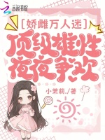 小说《/data/image/17306.jpg》封面
