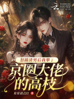 小说《/data/image/17367.jpg》封面