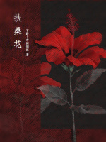 小说《/data/image/17454.jpg》封面