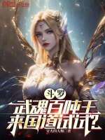 小说《/data/image/19733.jpg》封面