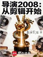 小说《导演2008:从剪辑开始》封面