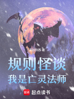 小说《/data/image/20041.jpg》封面