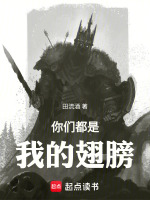 小说《你们都是我的翅膀田流酒免费阅读》封面