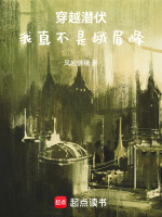 小说《/data/image/20137.jpg》封面