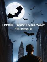小说《白手起家蝙蝠侠干碎我的致富梦免费阅读》封面