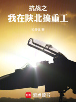 小说《抗战之我是一个工业人全文下载》封面