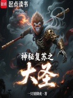 小说《/data/image/20894.jpg》封面