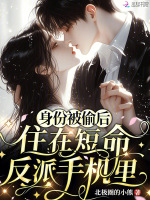 小说《/data/image/20919.jpg》封面