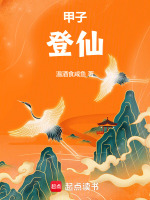 甲子登仙小说封面