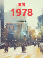 重回1978小说封面