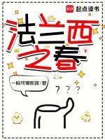 法兰西之春小说封面