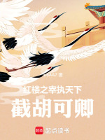小说《/data/image/21.jpg》封面