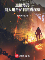 直播炼丹:别人用丹炉我用高压锅小说封面