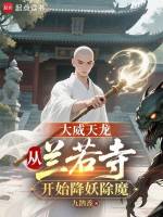 小说《/data/image/21333.jpg》封面