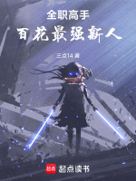 小说《全职高手百花齐放》封面