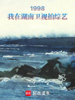 小说《/data/image/249.jpg》封面