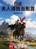 小说《综武:夫人请我当魁首》封面