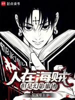 小说《人在海贼,但是幻影旅团》封面