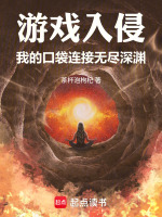 小说《游戏入侵:我的口袋连接无尽深渊》封面