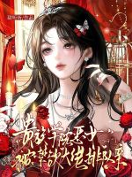 小说《贵族学院恶女,被禁欲大佬排队亲》封面