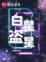 小说《白星盗星》封面