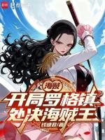 海贼王穿越到罗杰时代小说封面