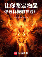 小说《/data/image/4029.jpg》封面