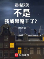 小说《/data/image/4171.jpg》封面