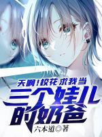 小说《/data/image/4424.jpg》封面