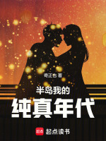 小说《/data/image/4528.jpg》封面