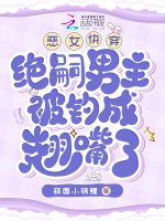 小说《/data/image/490.jpg》封面