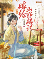 小说《/data/image/500.jpg》封面