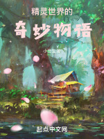 小说《/data/image/6602.jpg》封面