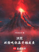 小说《/data/image/6647.jpg》封面