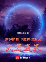 小说《/data/image/804.jpg》封面