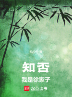 小说《/data/image/8223.jpg》封面