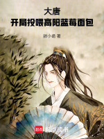 小说《/data/image/969.jpg》封面